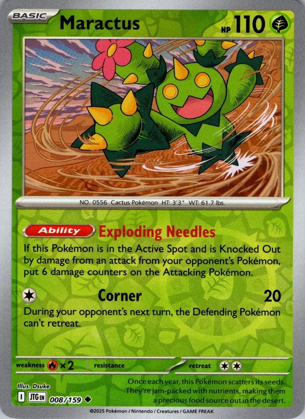 Maractus (JTG 008)