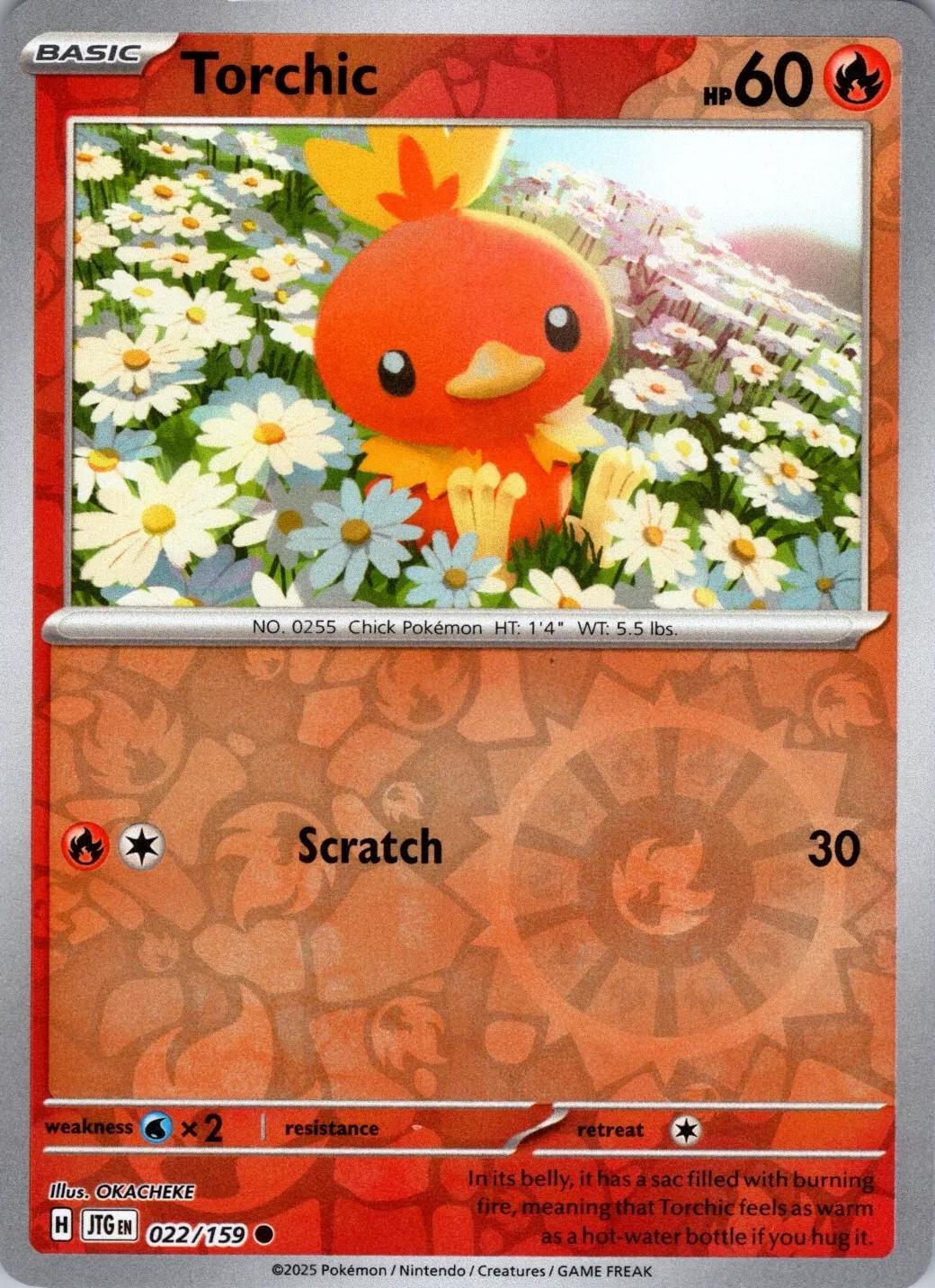 Torchic (JTG 022)
